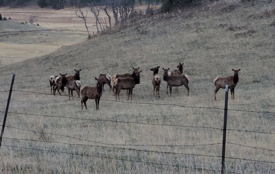 Photo of Others in Weston