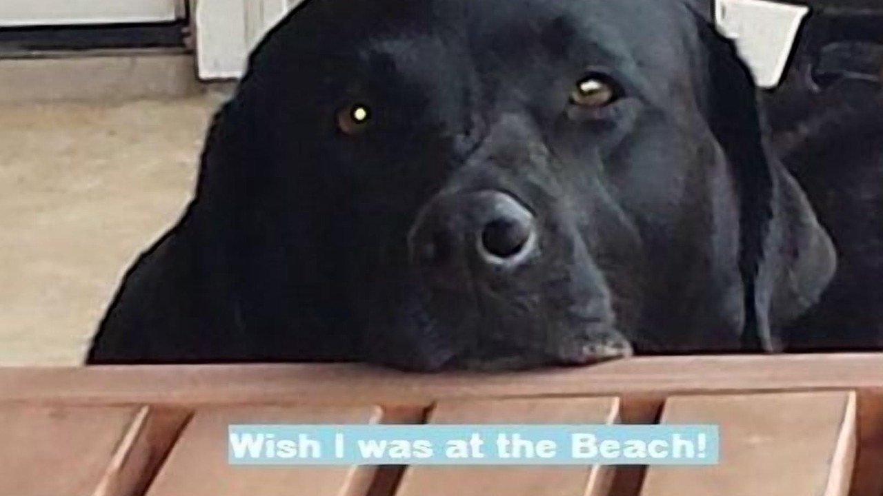 Photo of Others in Port Aransas