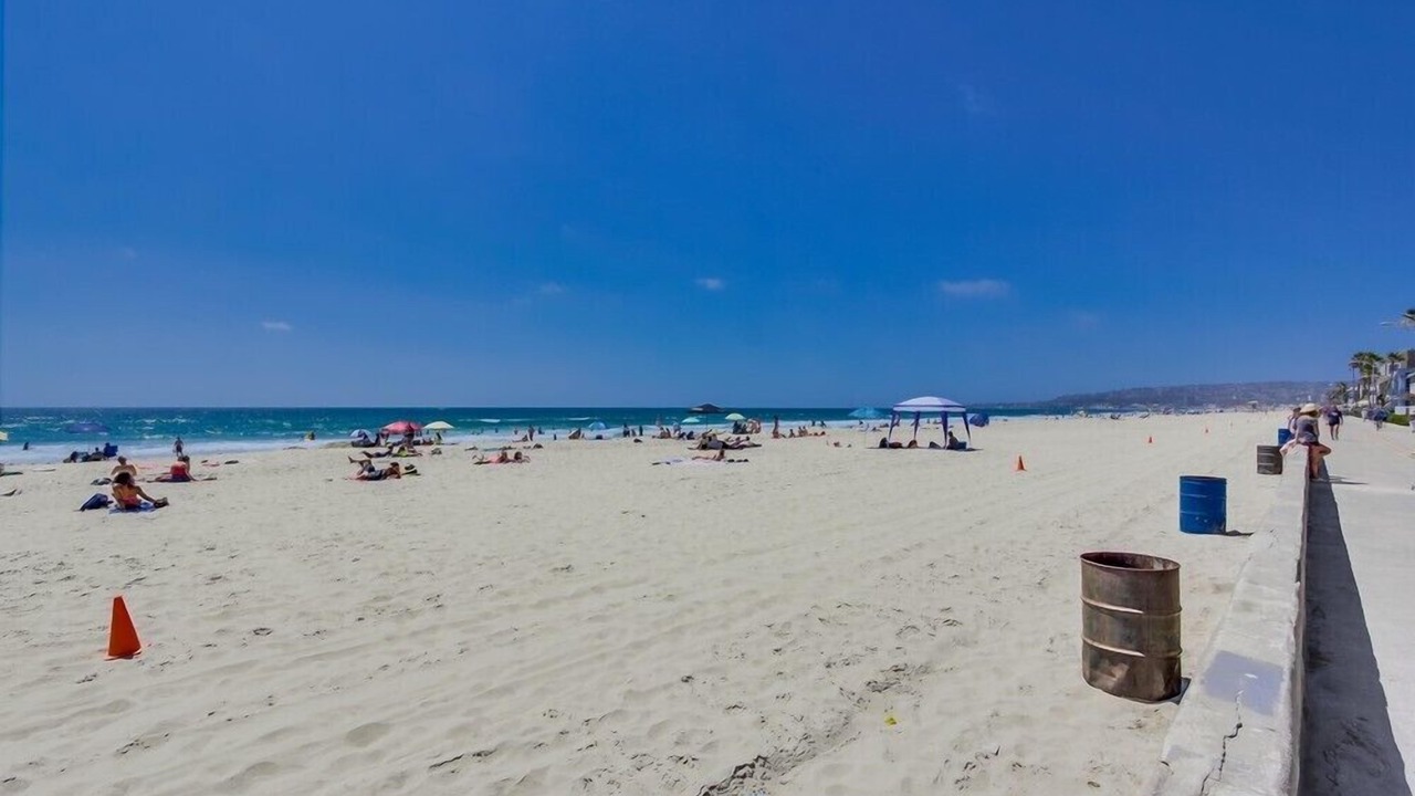 Photo of Others in Mission Beach