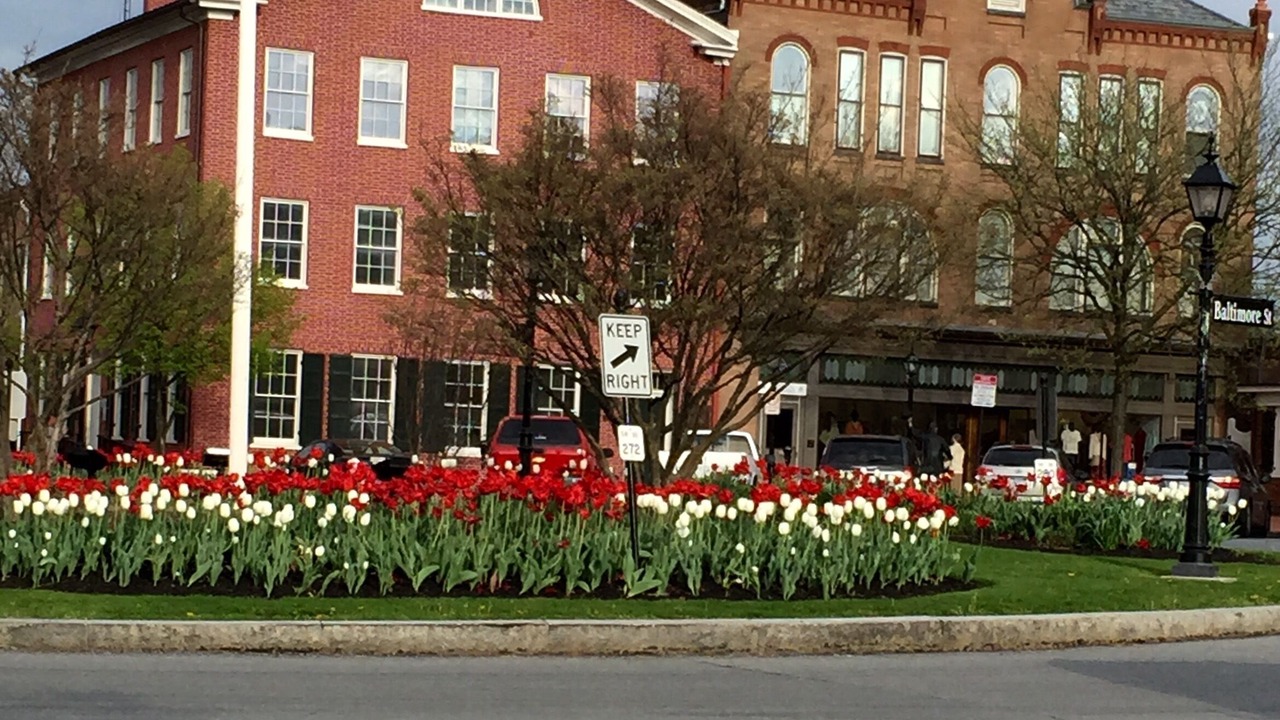 Photo of Others in Gettysburg