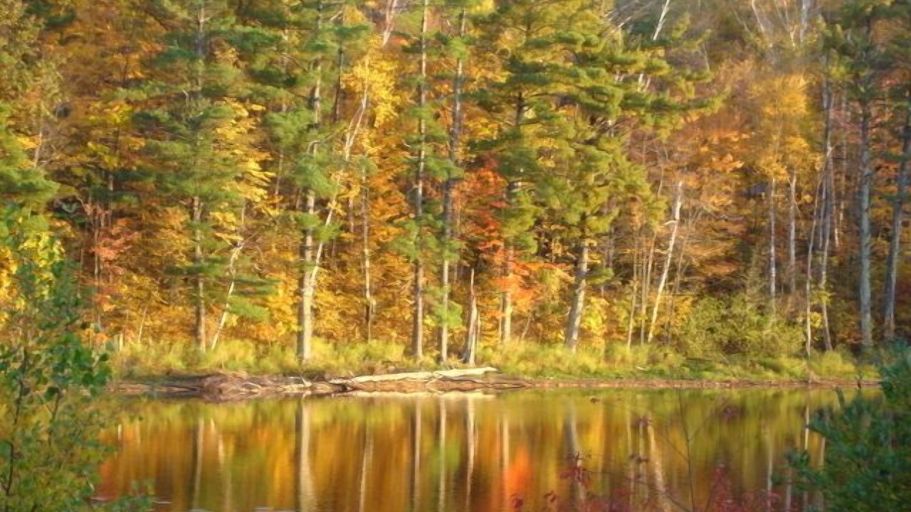 Photo of Outdoor in Birchwood