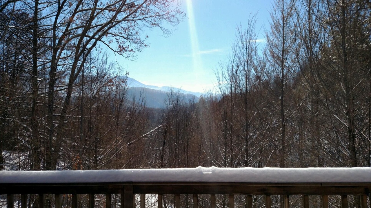 Photo of Others in Gatlinburg