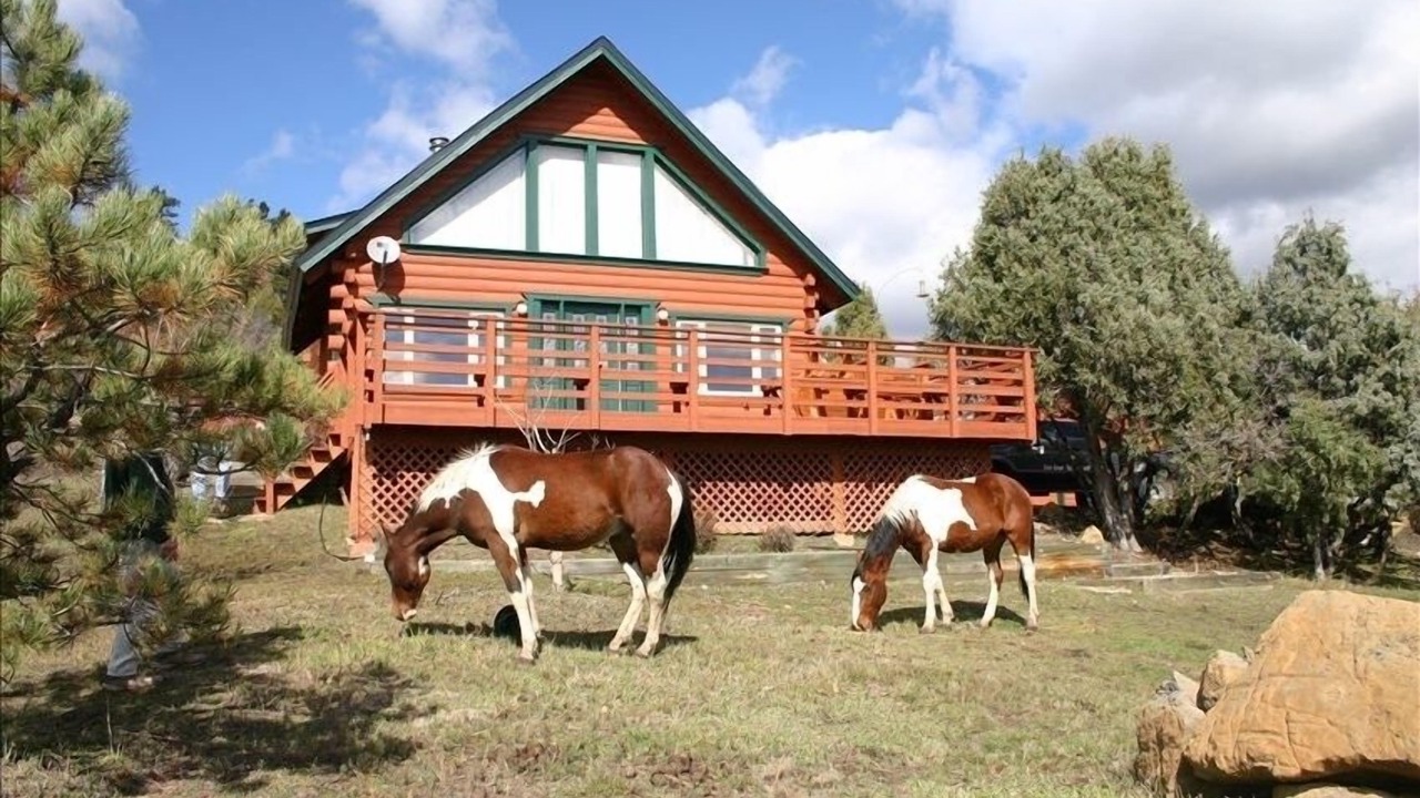 Photo of Outdoor in Pagosa Springs