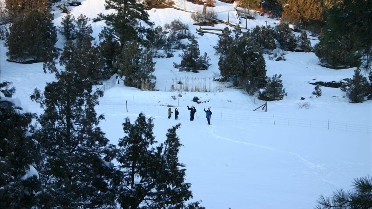 Photo of Others in Pagosa Springs