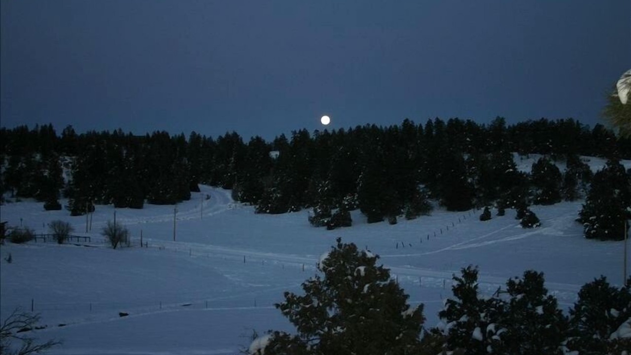 Photo of Others in Pagosa Springs