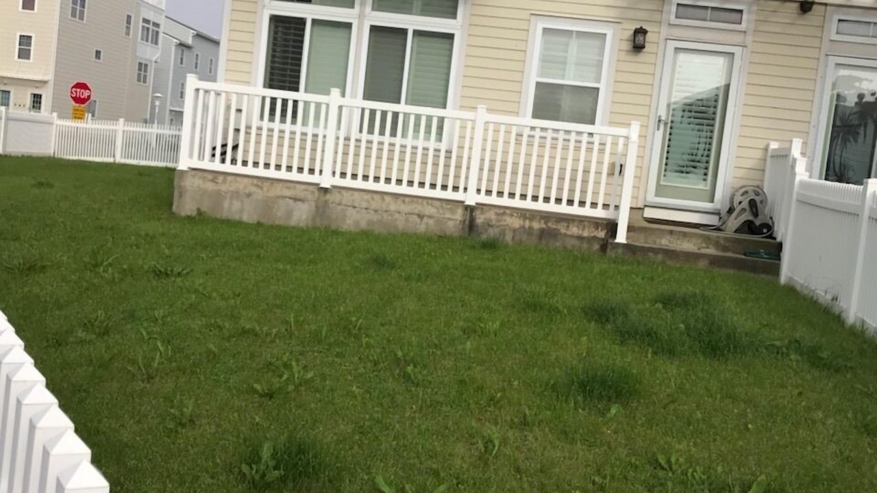 Photo of Outdoor in Queens