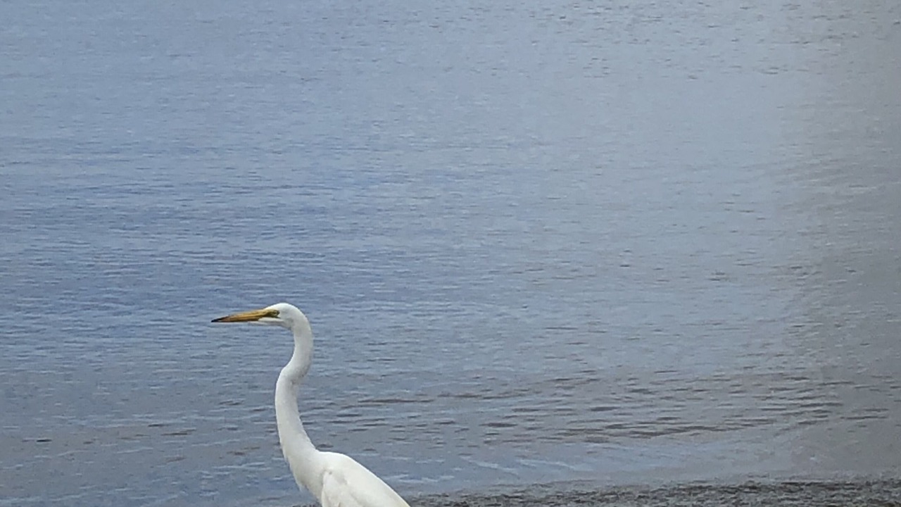 Photo of Others in Demere Park