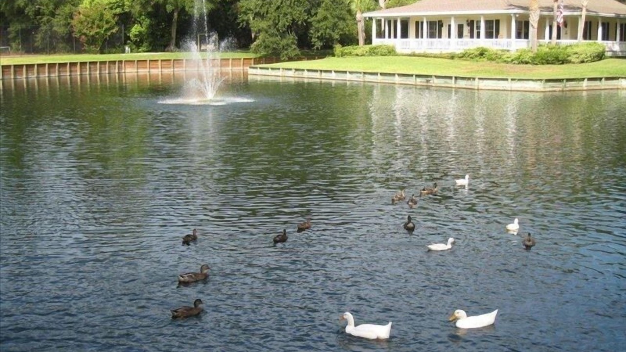 Photo of Outdoor in Demere Park