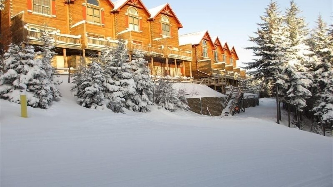 Photo of Others in Snowshoe