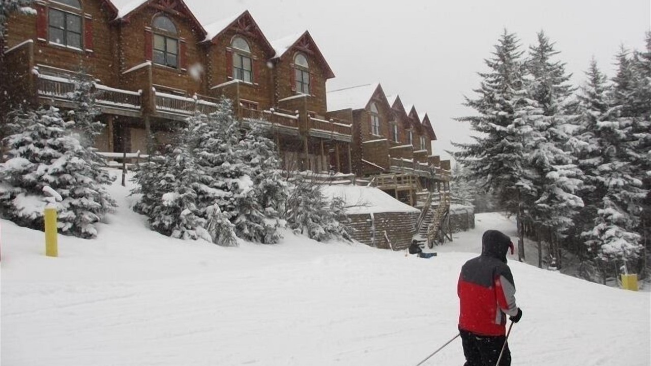 Photo of Others in Snowshoe