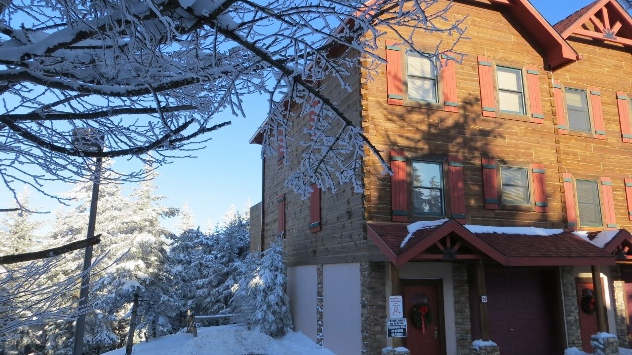 Photo of Others in Snowshoe