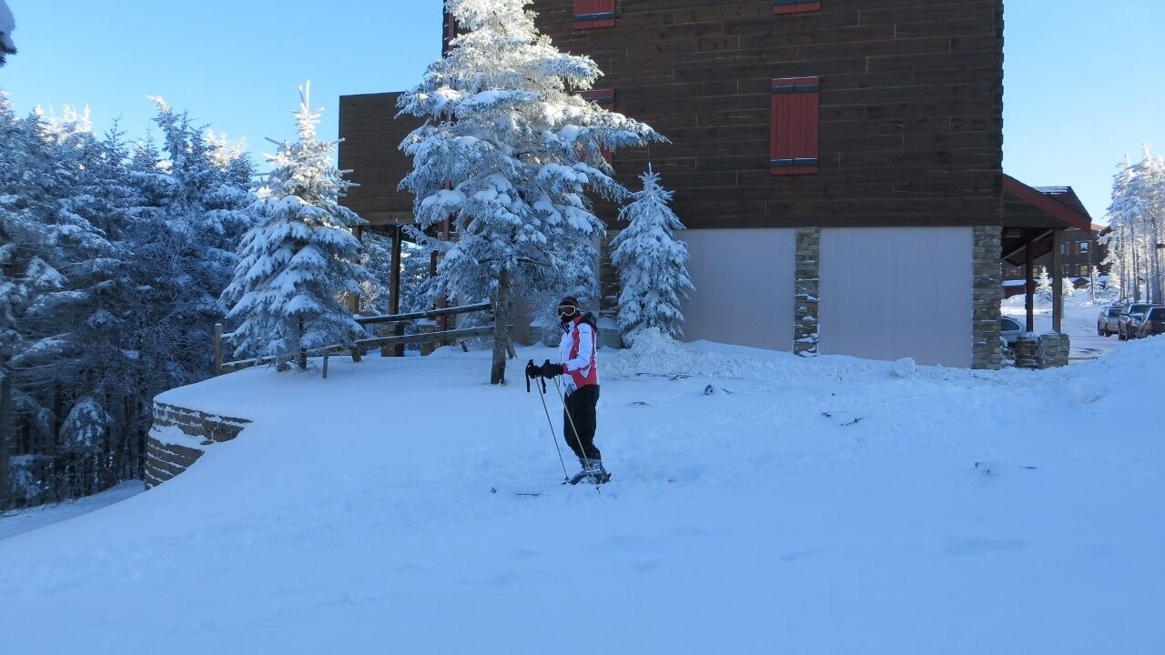 Photo of Others in Snowshoe