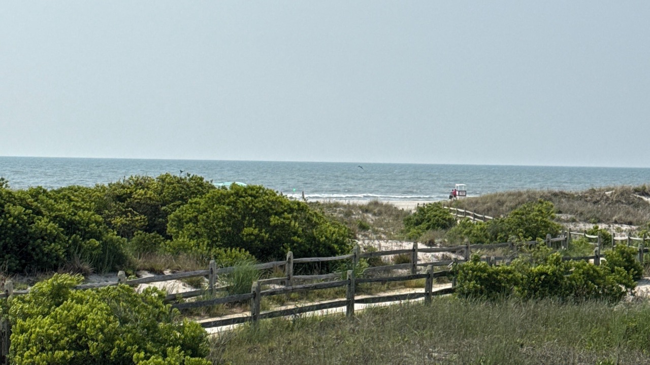Photo of Others in Gold Coast
