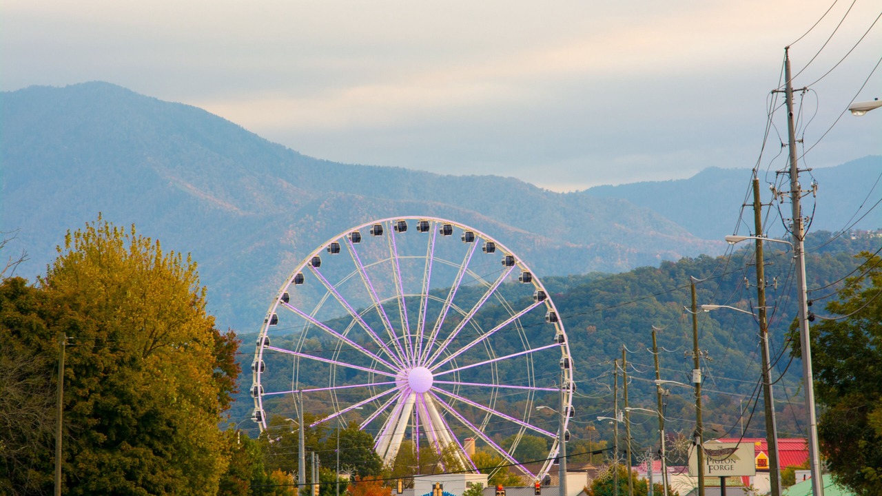 Photo of Others in Pigeon Forge