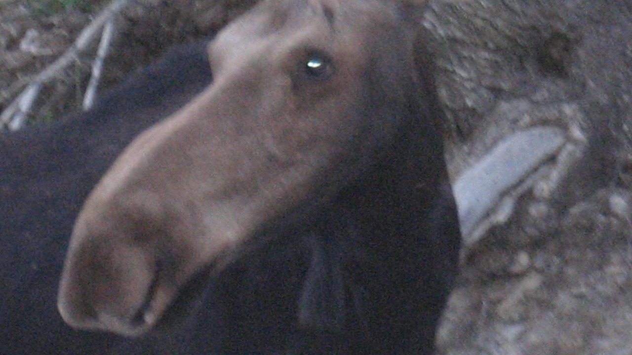 Photo of Others in Powder Mountain