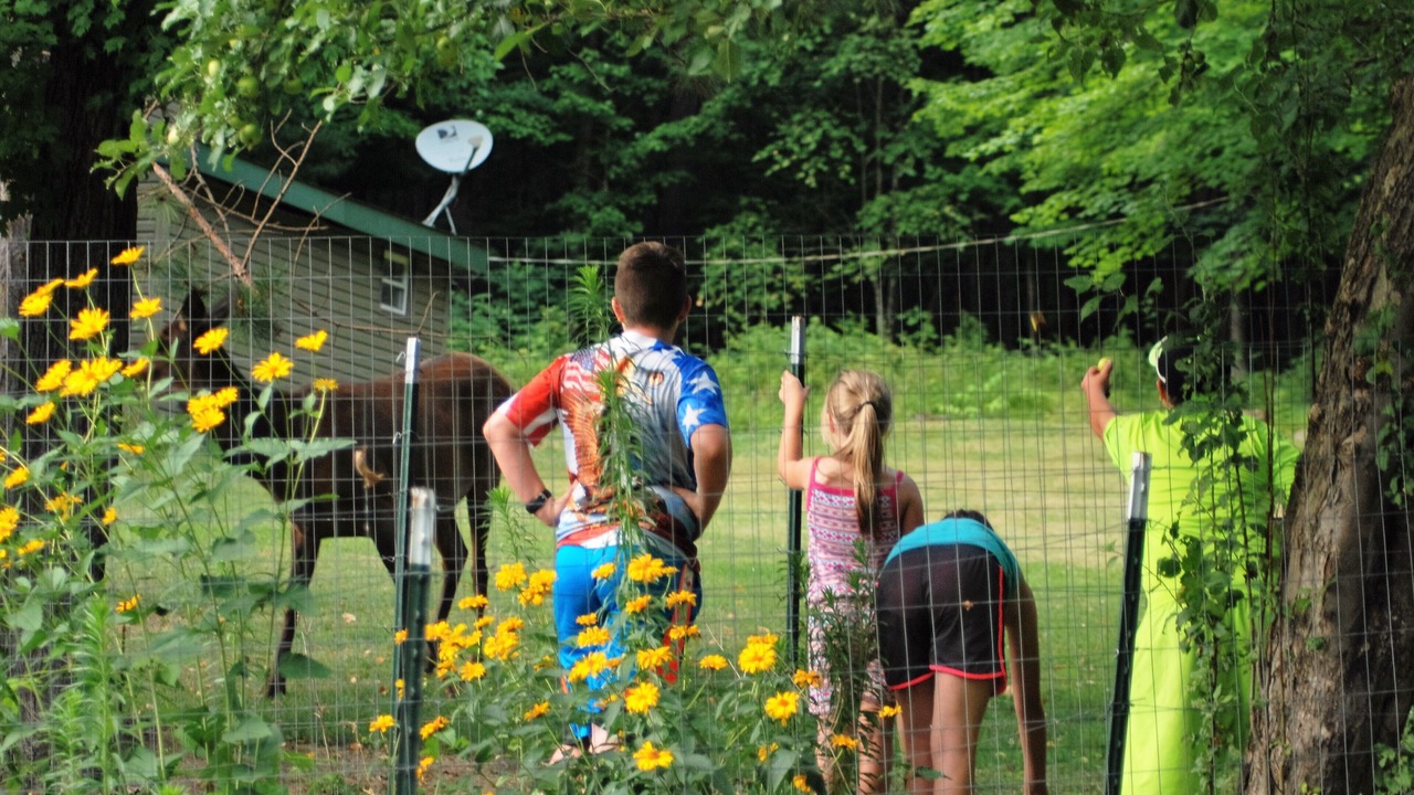 Photo of Others in Benezette