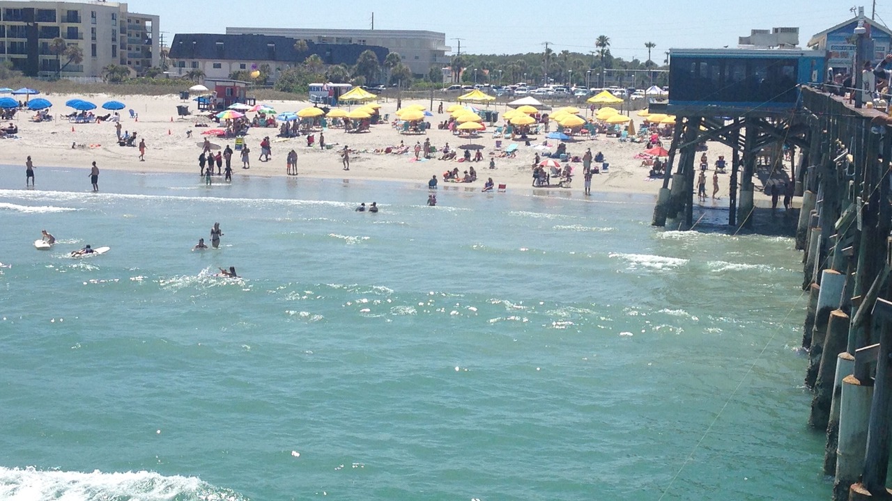 Photo of Others in Port Canaveral