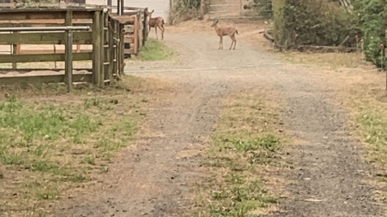 Photo of Outdoor in Long Beach