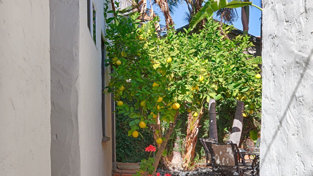 Photo of Outdoor in Fairfax District