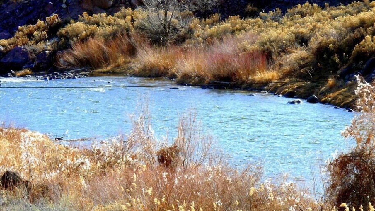 Photo of Outdoor in Canon City