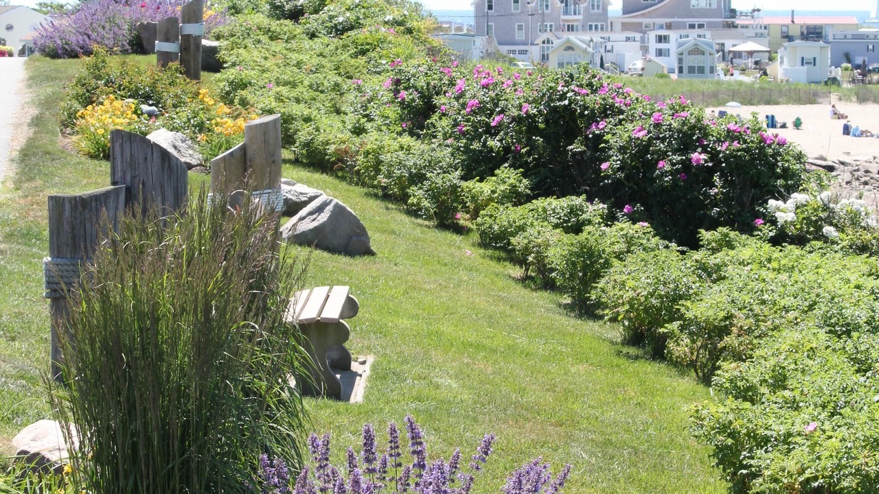 Photo of Others in Breakwater Village