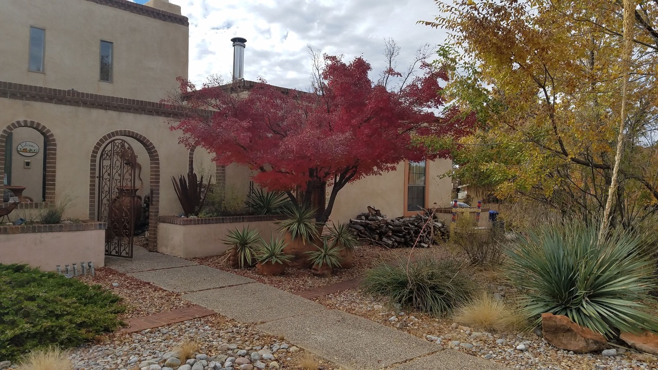 Photo of Outdoor in Academy Estates East