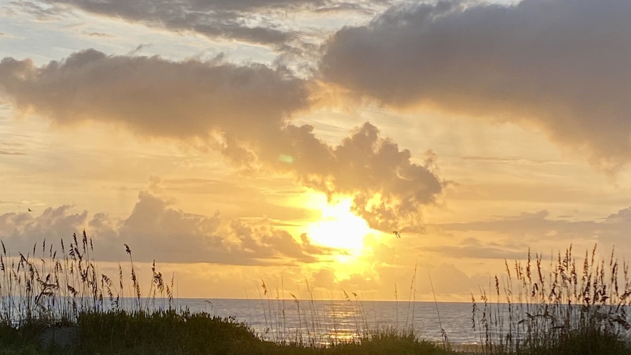 Photo of Others in Cocoa Beach