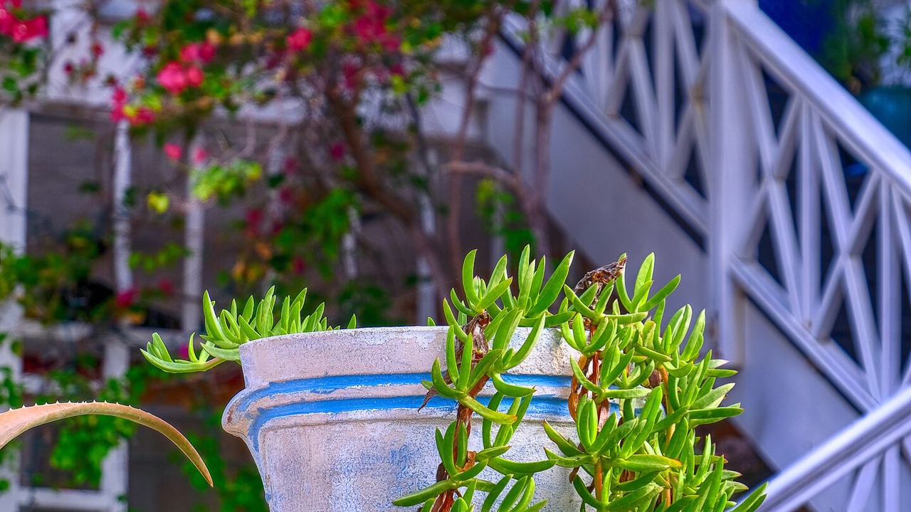 Photo of Outdoor in North Beach