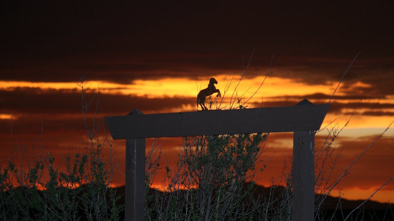 Photo of Outdoor in Pearce