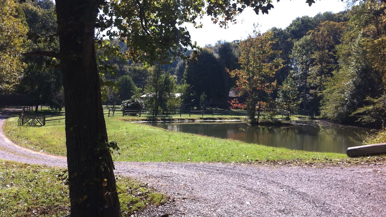 Photo of Outdoor in Knoxville