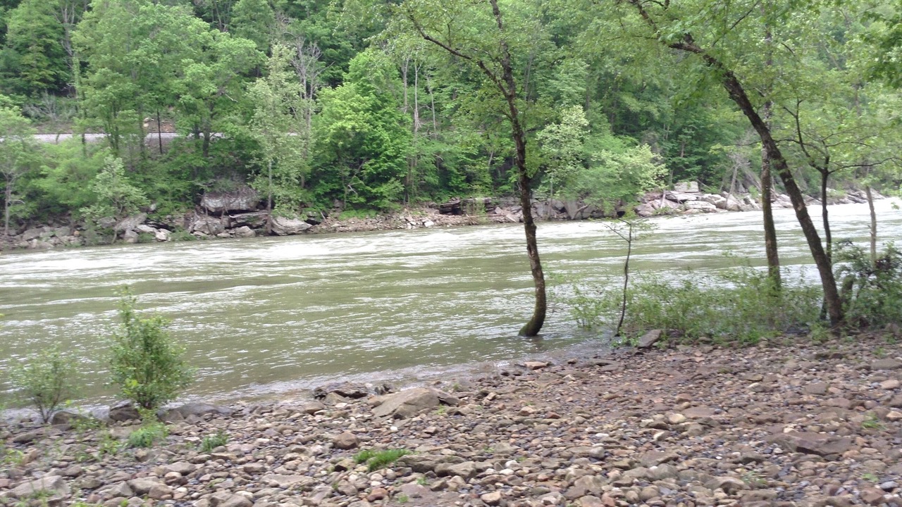 Photo of Others in Hico