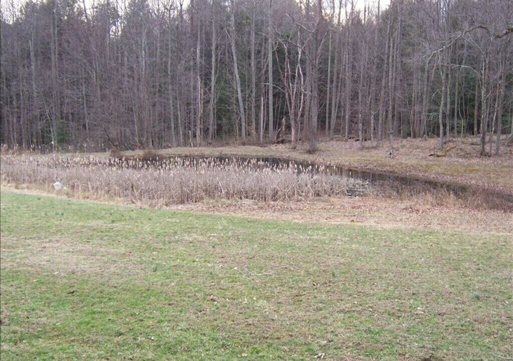Photo of Others in Hico