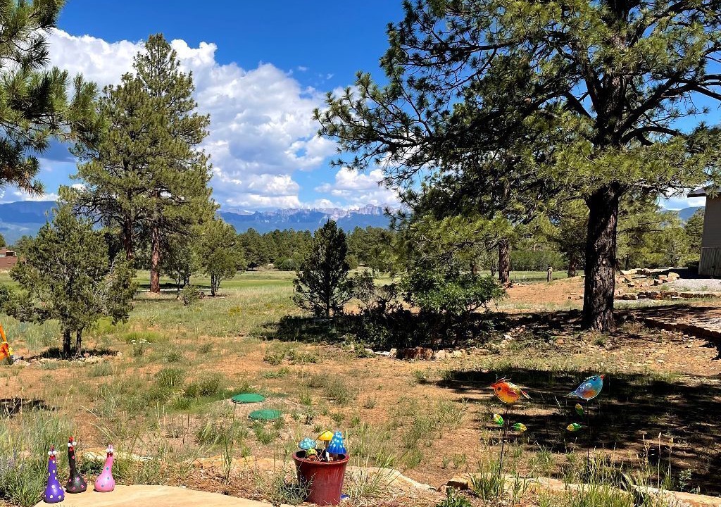 Photo of Outdoor in Loghill Village