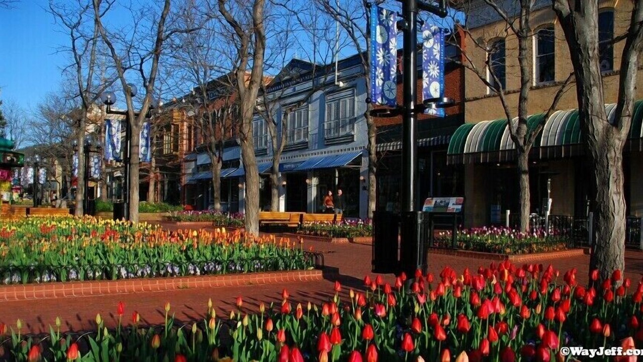 Photo of Others in Central Boulder