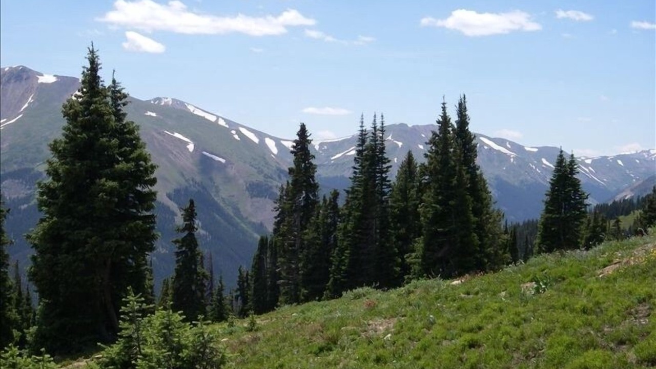 Photo of Others in Fraser