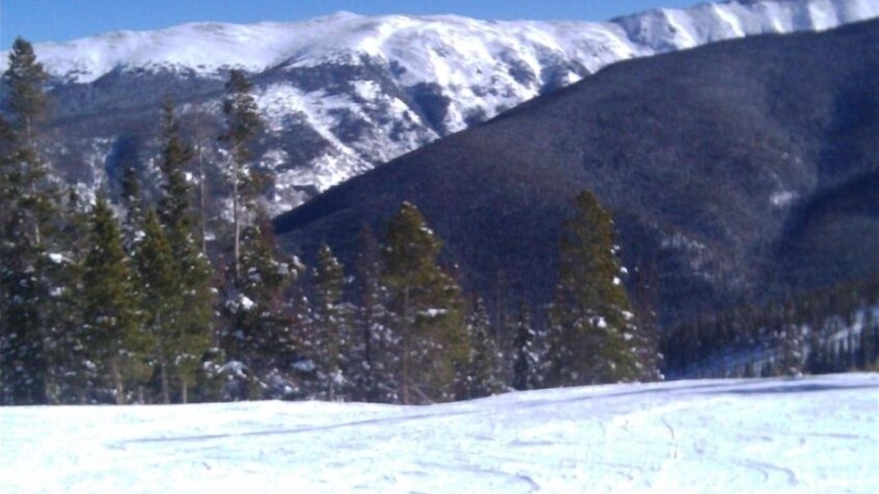 Photo of Others in Fraser