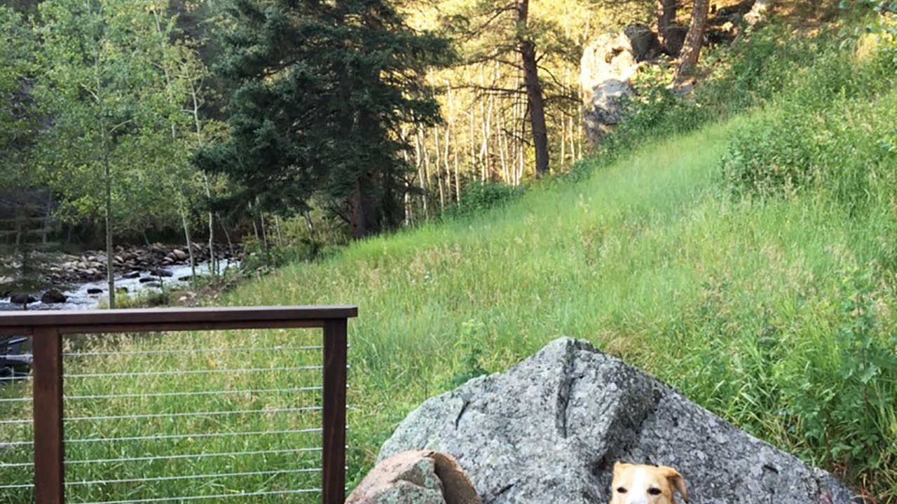 Photo of Others in Lyons