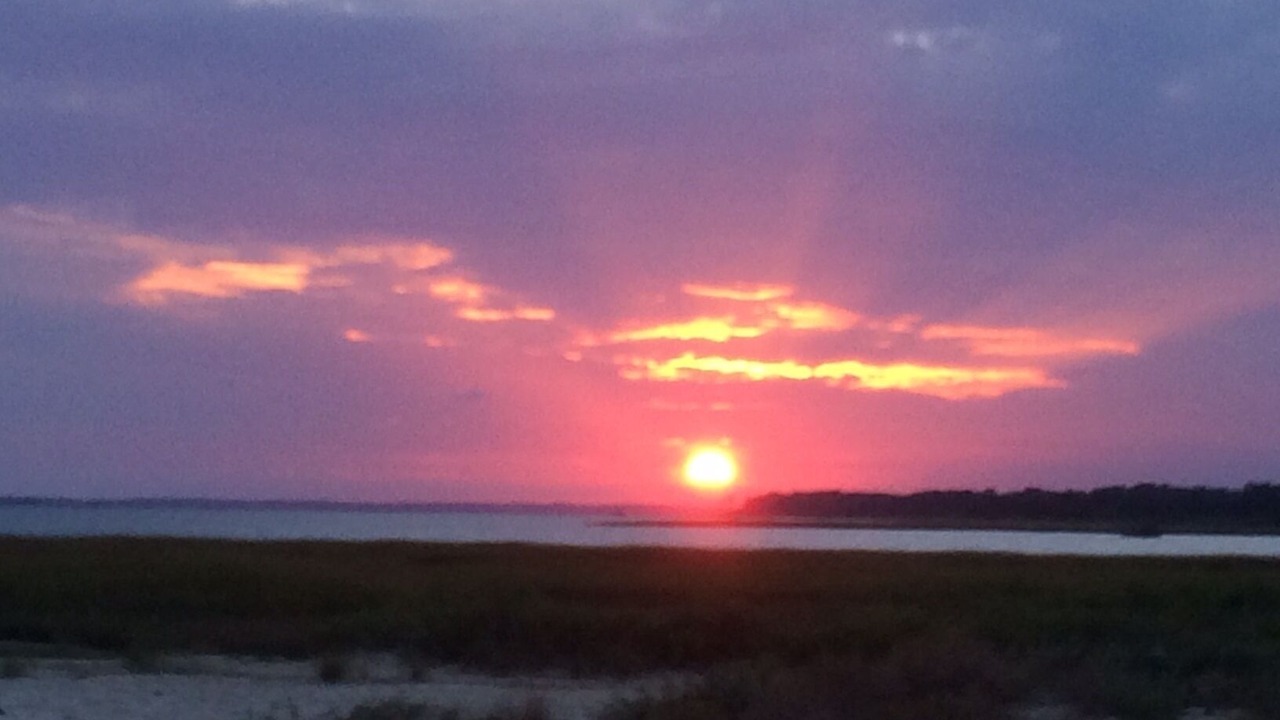 Photo of Others in Piney Island