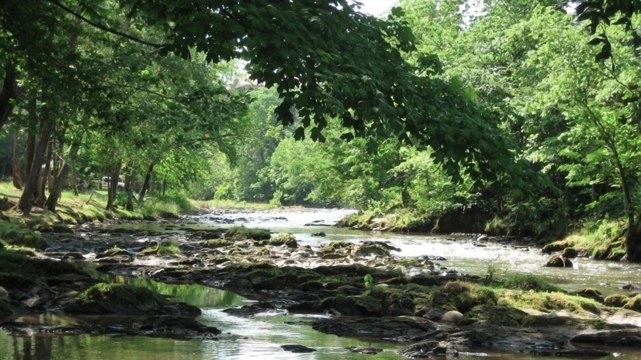 Photo of Outdoor in Pigeon Forge