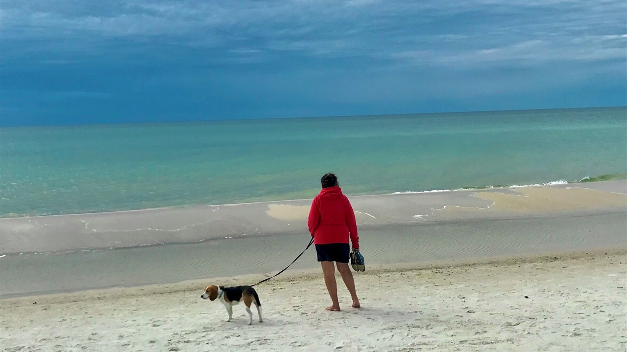 Photo of Others in Port St. Joe