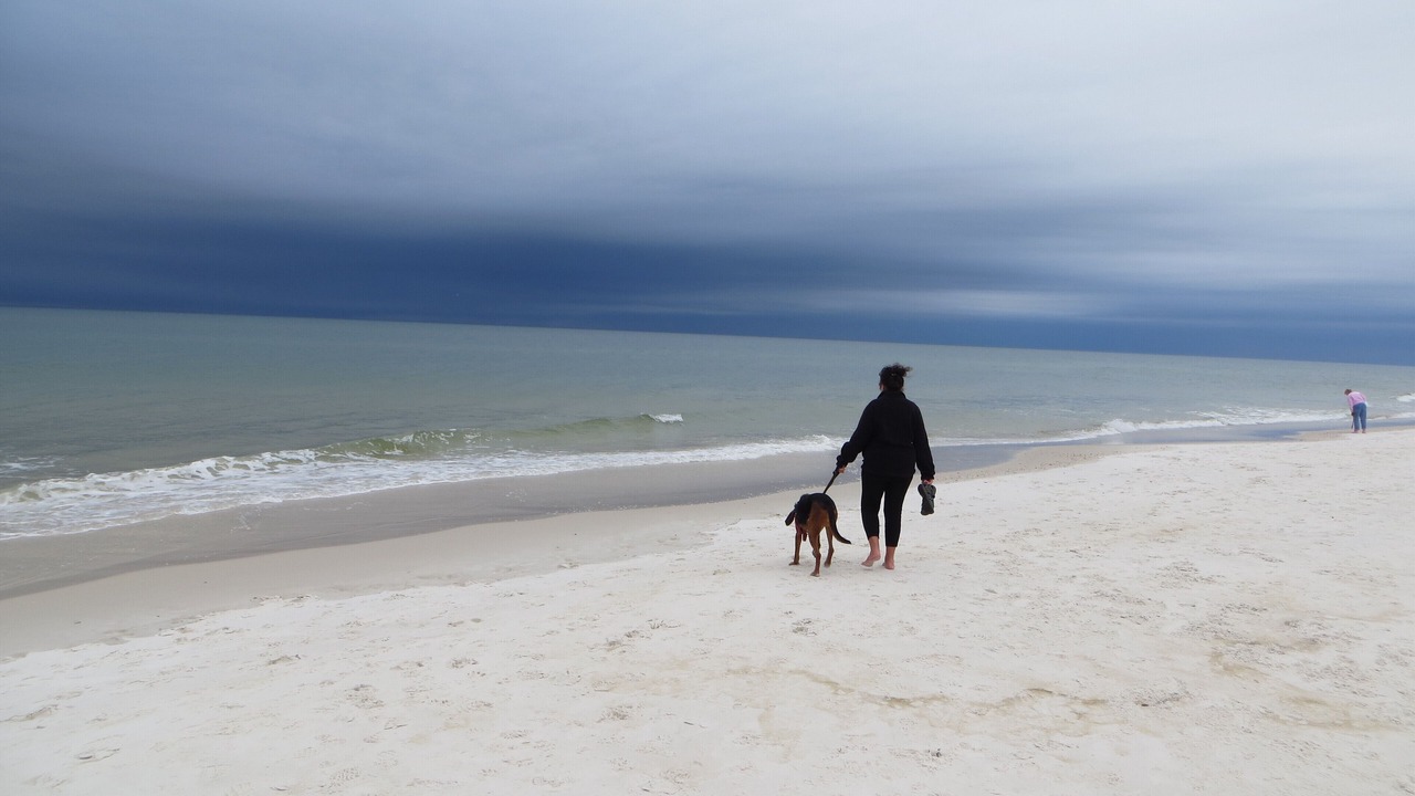 Photo of Others in Port St. Joe