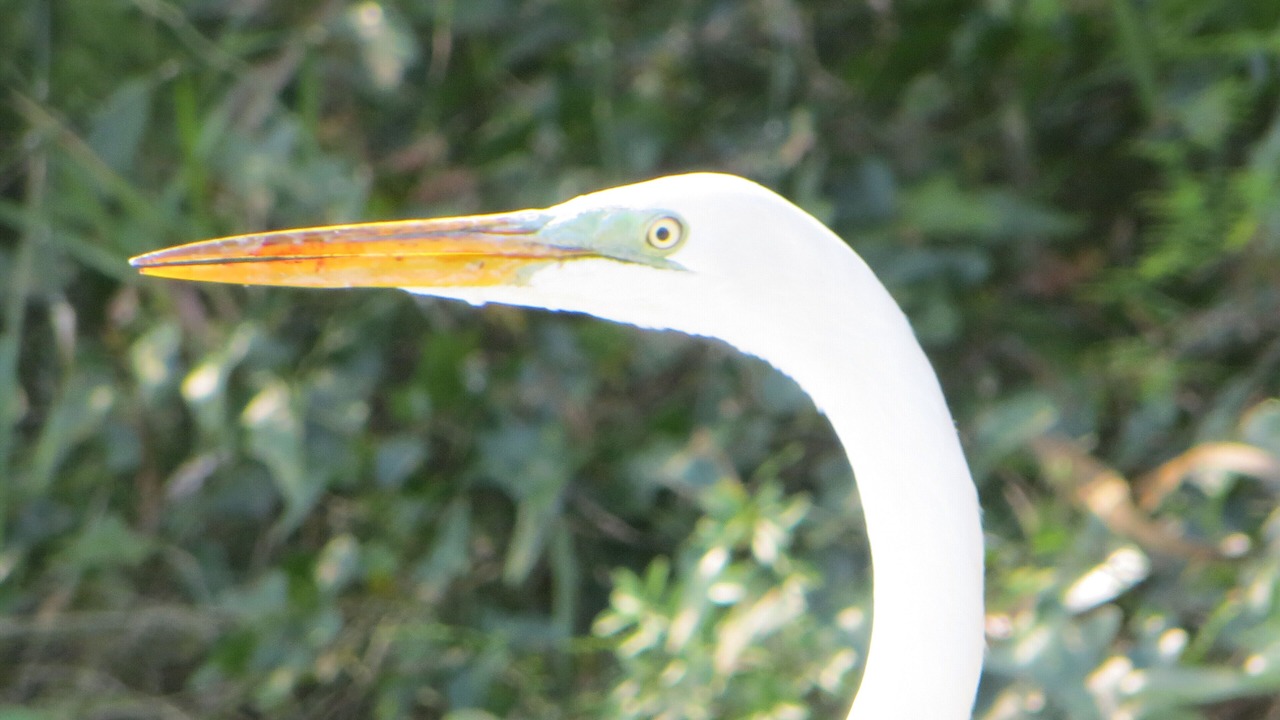 Photo of Others in Port St. Joe