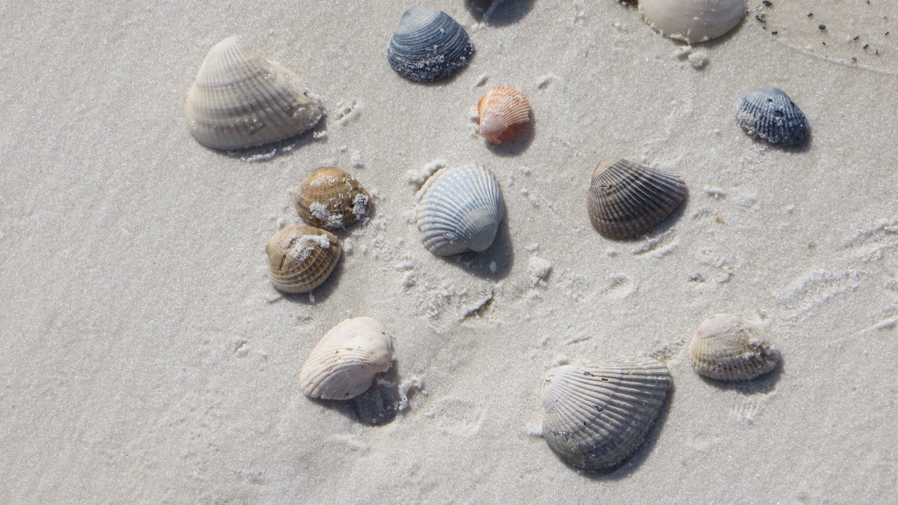 Photo of Others in Port St. Joe