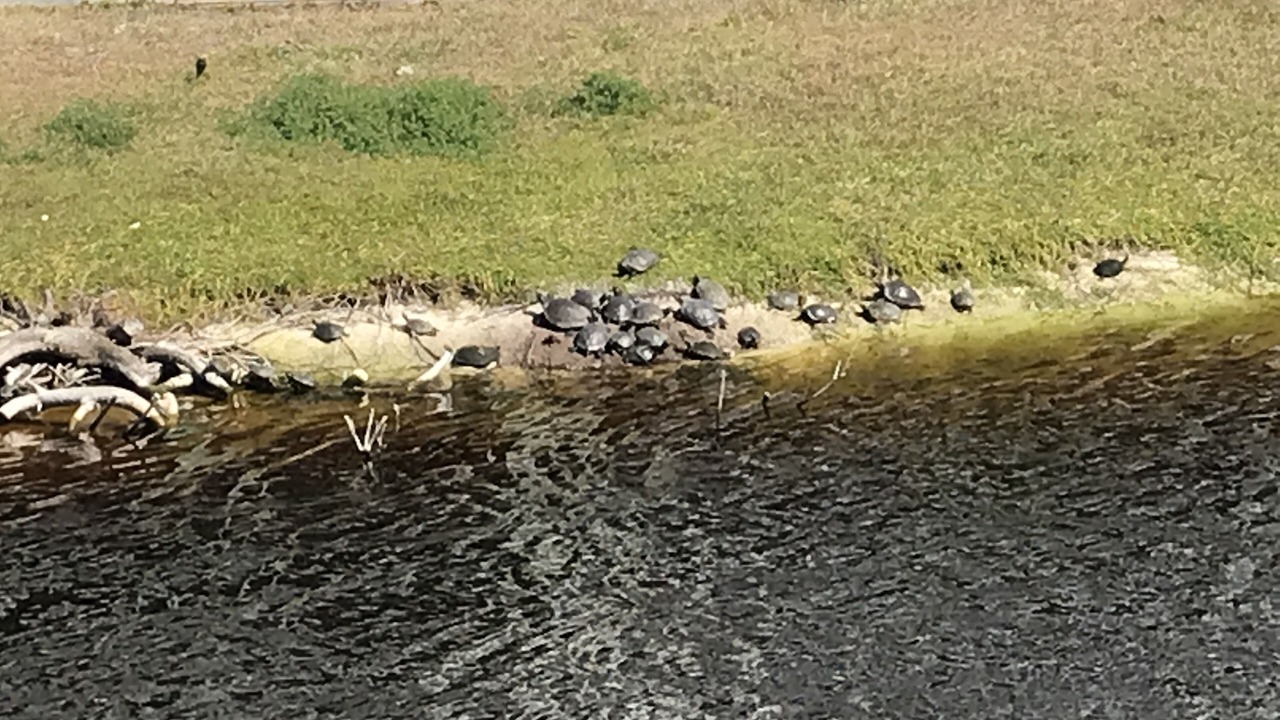 Photo of Others in Port St. Joe