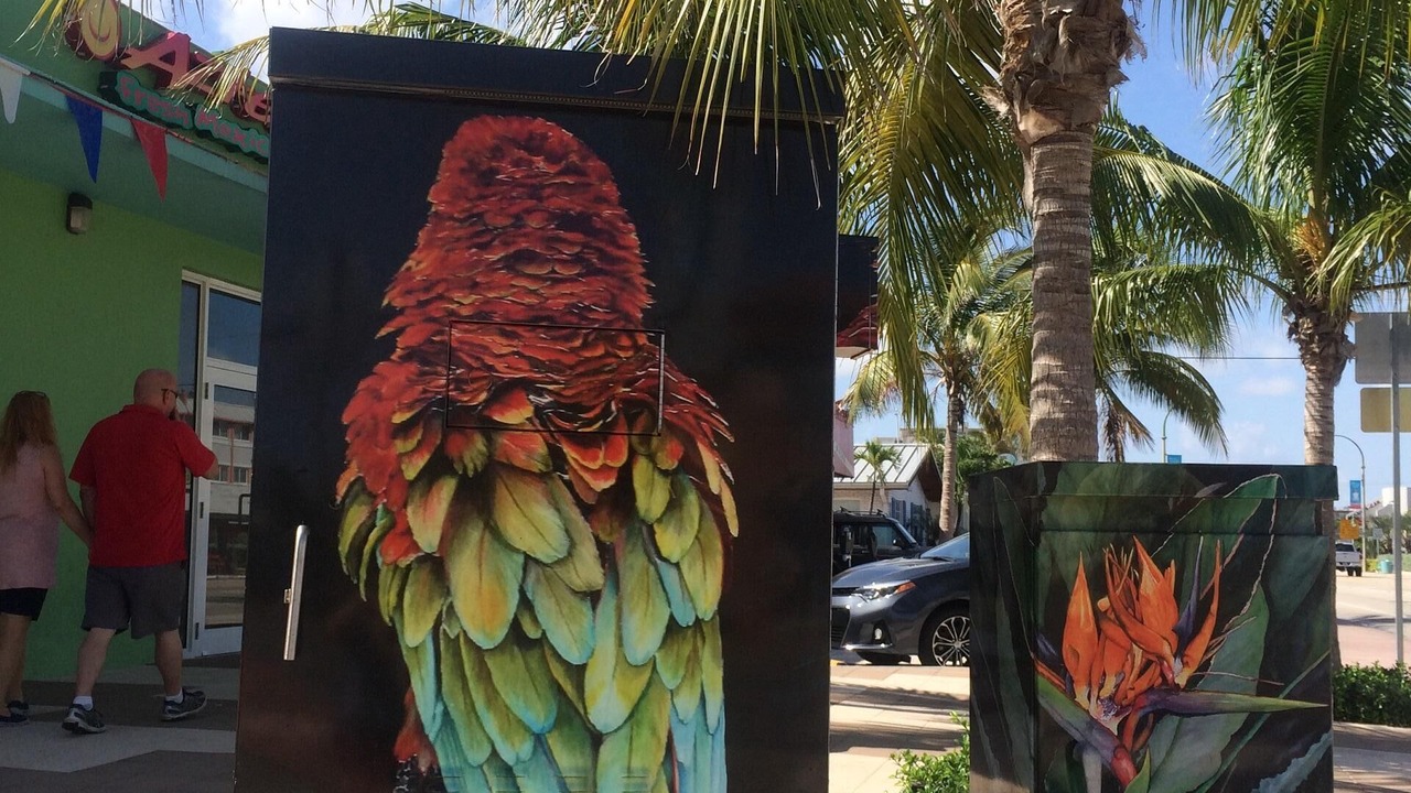 Photo of Others in East Fort Lauderdale