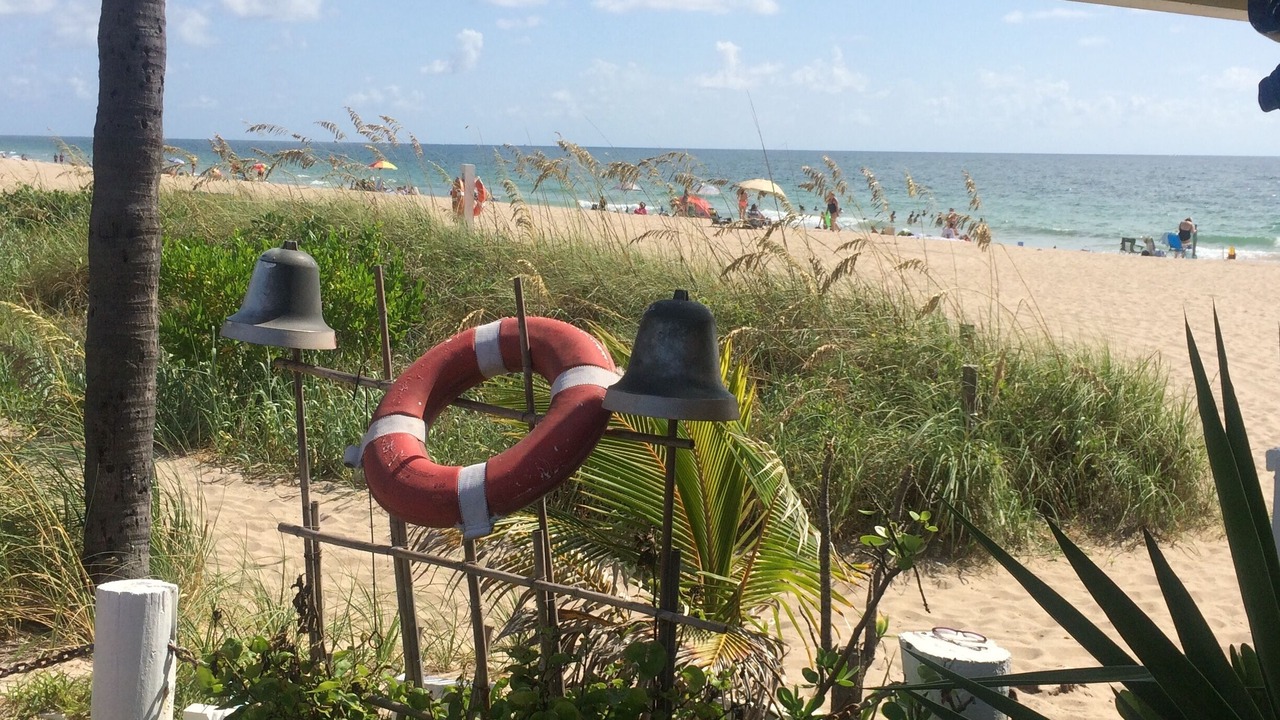 Photo of Others in East Fort Lauderdale