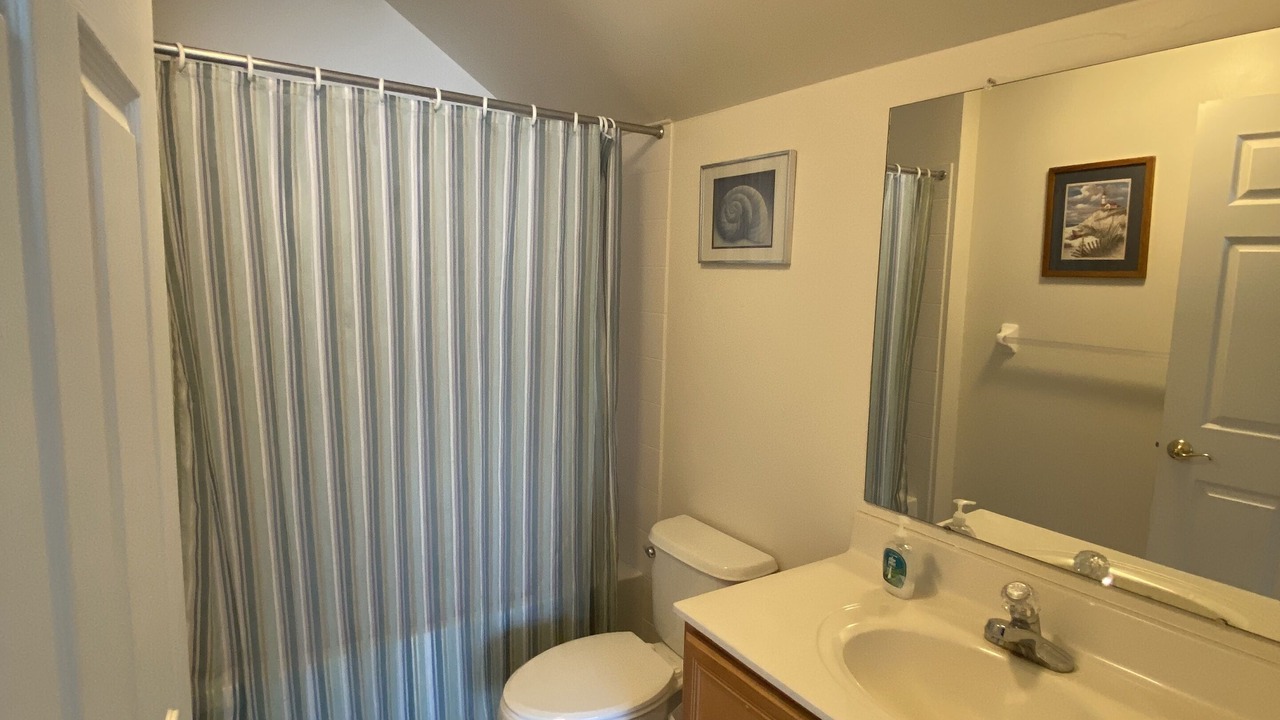 Photo of Bathroom in Bayside