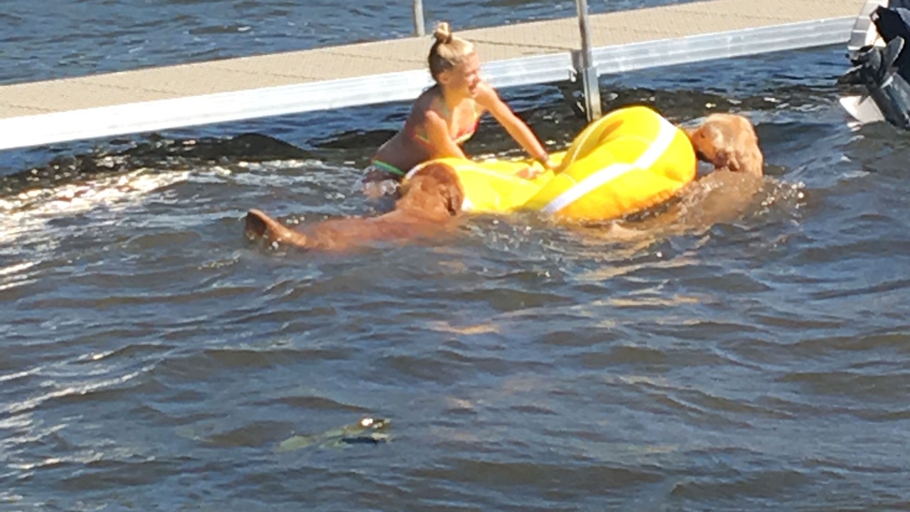 Photo of Others in Hamburg Township