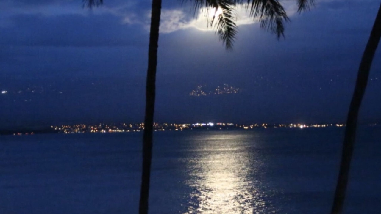 Photo of Others in Maalaea