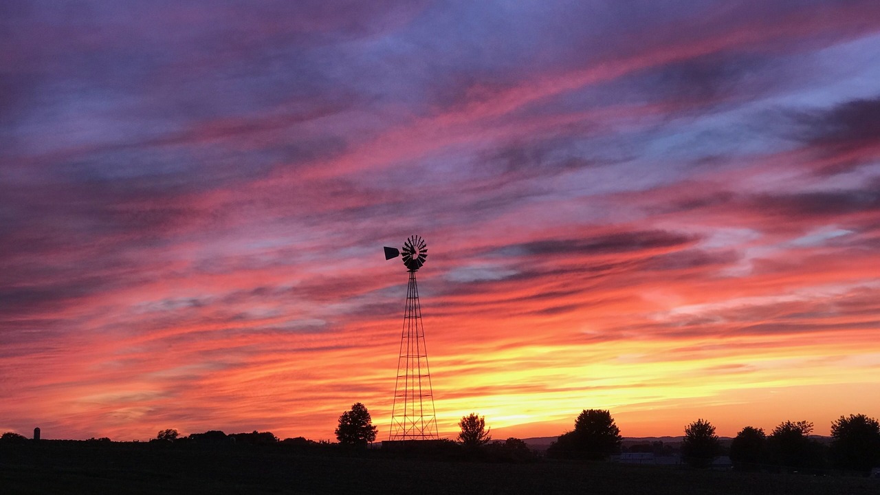 Photo of Others in New Holland
